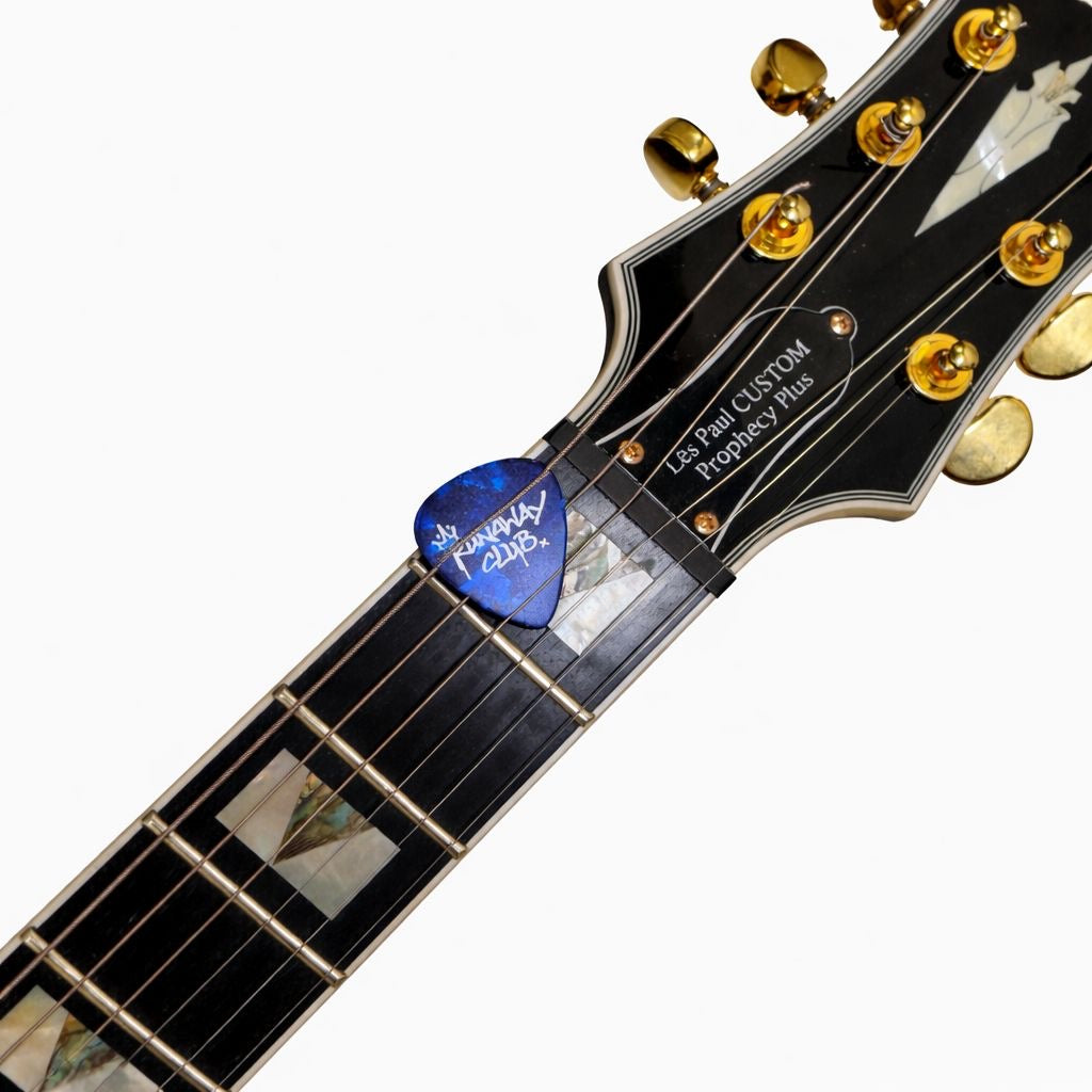 GUITAR PICKS
